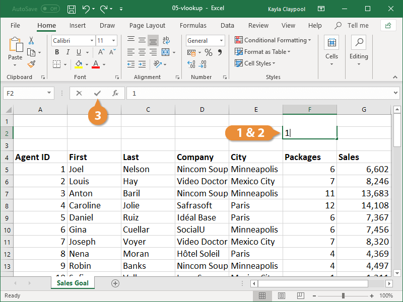 Insert a VLOOKUP Function 02